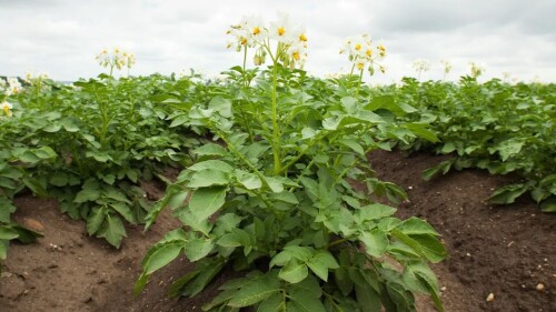 Screenshot 2026-04-16 134738_edited.jpg